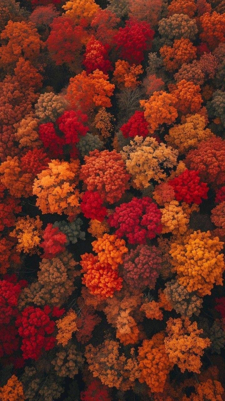 HERBSTKOLLEKTION
